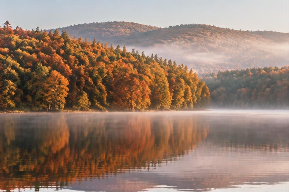 Soft morning haze above a lake surrounded by autumn woods.