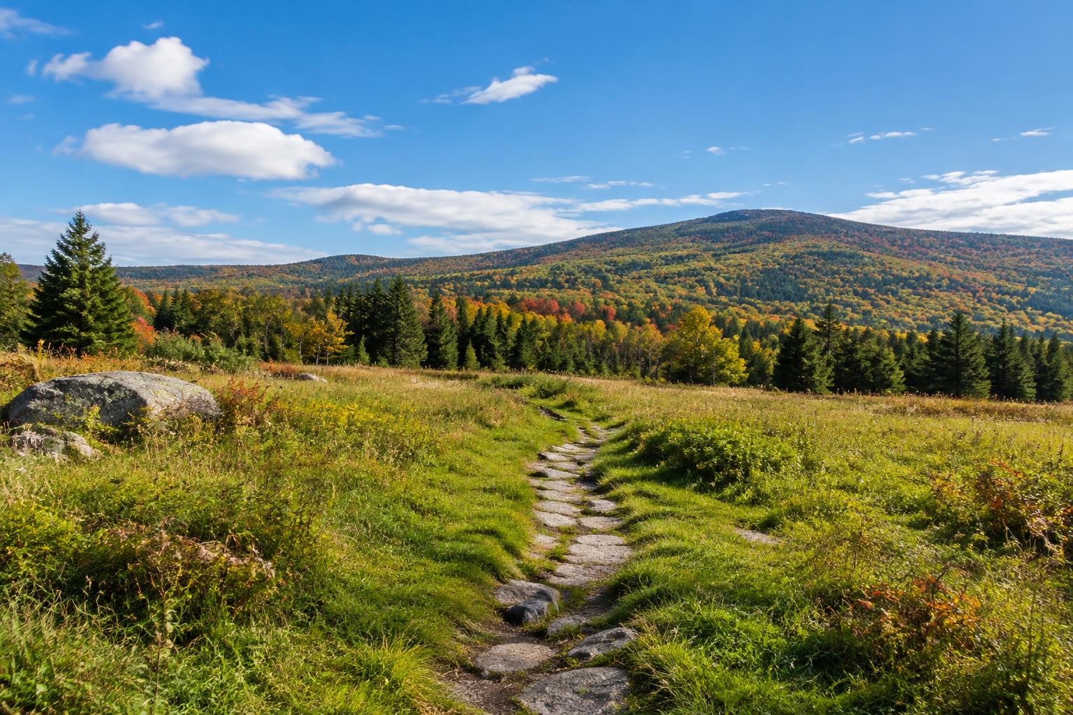 Illustrative New England meadow path overlooking wooded hills.
